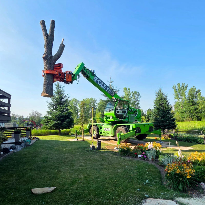 Foley Tree Service - Tree Removal