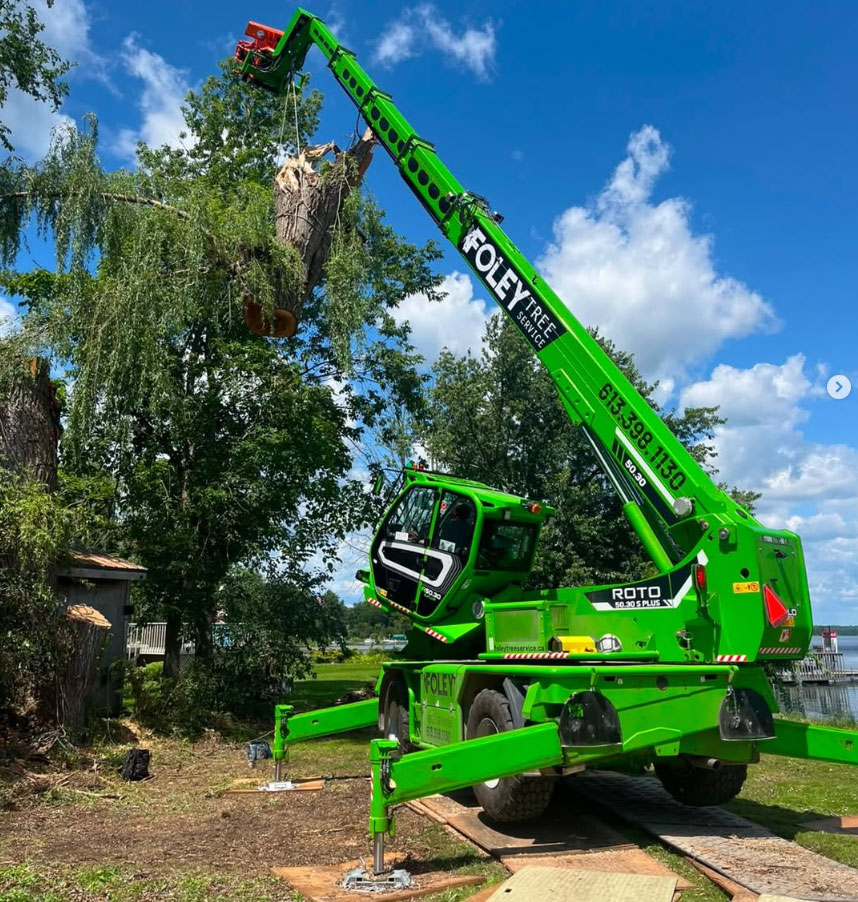 Foley Tree Service - Tree Removal