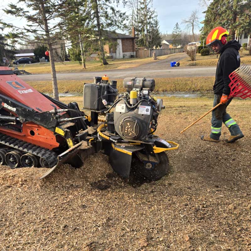 Foley Tree Service - Tree Stump Grinding Services