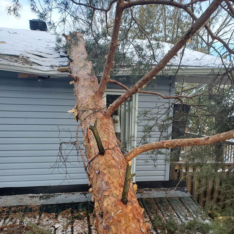 Foley Tree Service - Storm Work / Hazard Trees