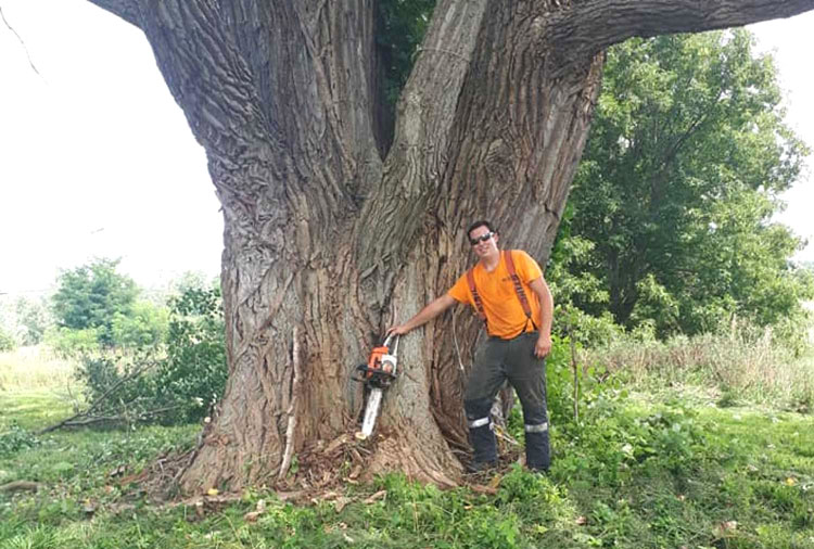 Dylan Foley in front of an enormous Carolina poplar, 2018